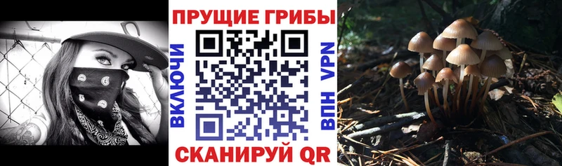 Галлюциногенные грибы прущие грибы  Купить  Княгинино 